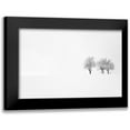 thumbnail image 1 of Bajrich, Amir 18x13 Black Modern Framed Museum Art Print Titled - Tree And Silence, 1 of 5
