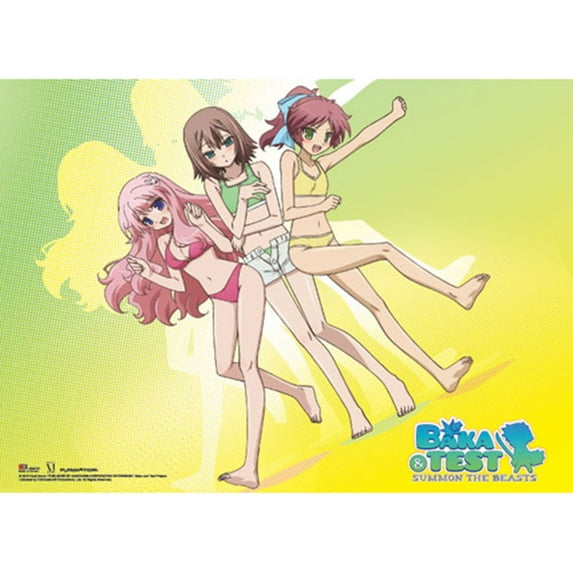 Baka And Test WallScroll