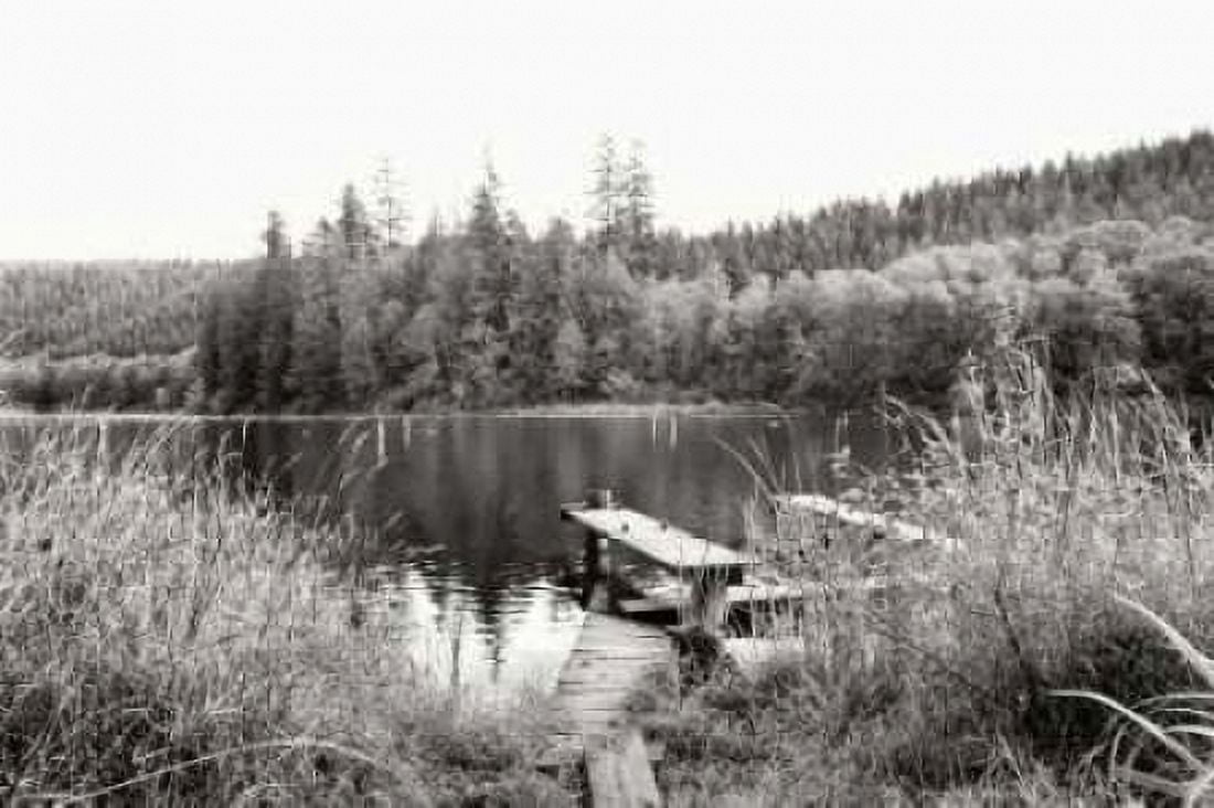 Baker Lake Dock Canvas Art - Dana Styber (12 x 18)