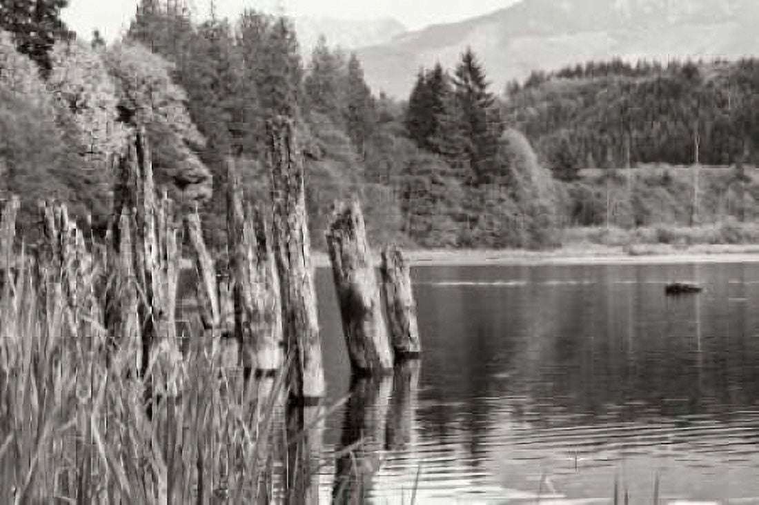 Baker Lake Pilings Canvas Art - Dana Styber (12 x 18)