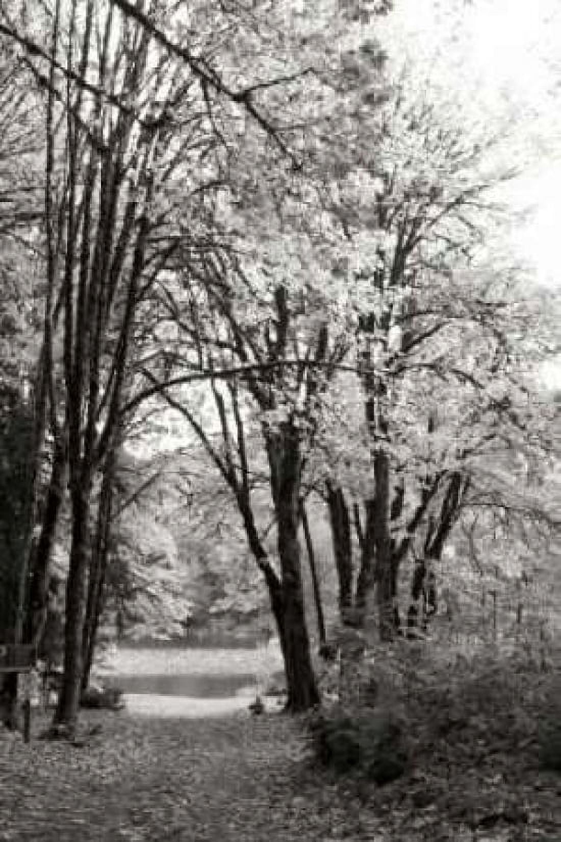 Baker Lake Trail I Canvas Art - Dana Styber (24 x 36)
