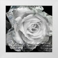 thumbnail image 1 of Baker, Micha 12x12 White Modern Wood Framed Museum Art Print Titled - White Rose I, 1 of 4