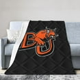 thumbnail image 1 of Baker University-Logo Fleece Blanket, Very Soft Microfiber Flannel Blanket for Couch Warm and Cozy for All Seasons, 1 of 6
