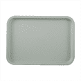 thumbnail image 1 of Baking Sheet,Storage Tray Style Pack Rectangular Storage Plate For Living Room, 1 of 2