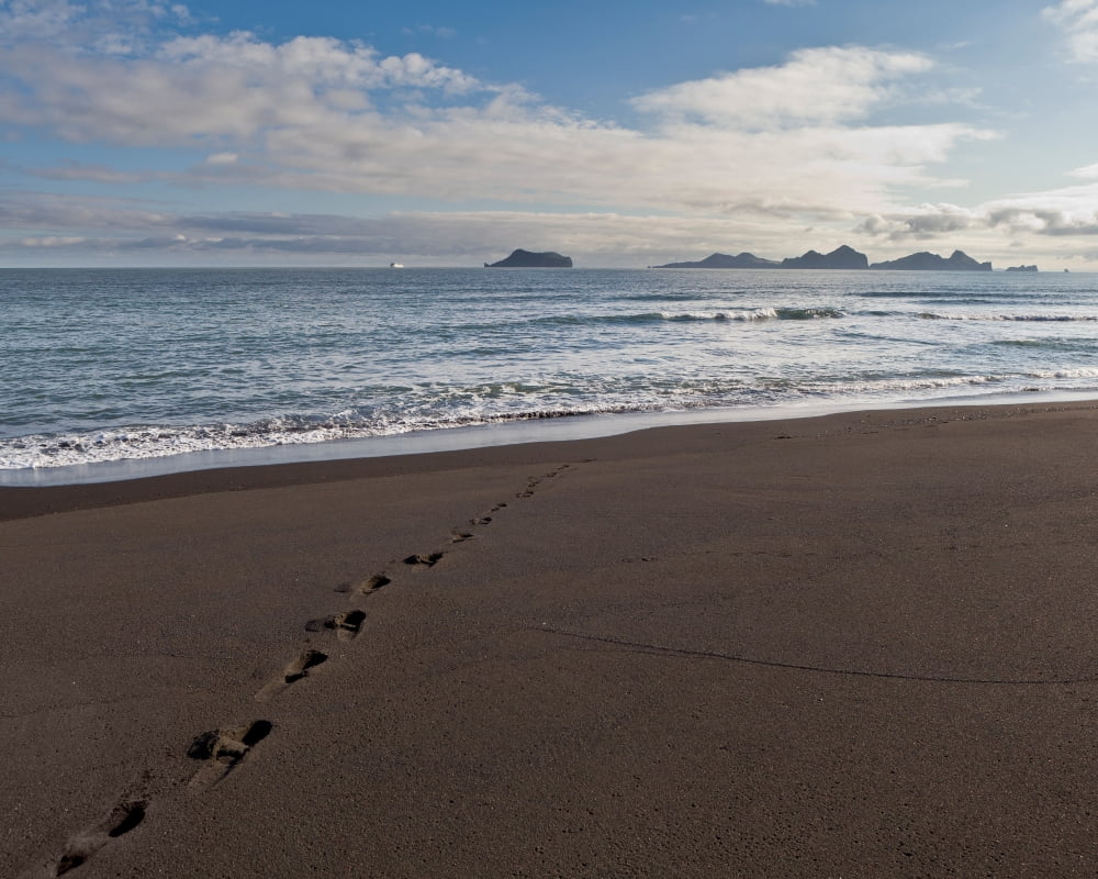 Bakkafjara Beach South Coast Iceland Canvas Art - Panoramic Images (22 x 27)