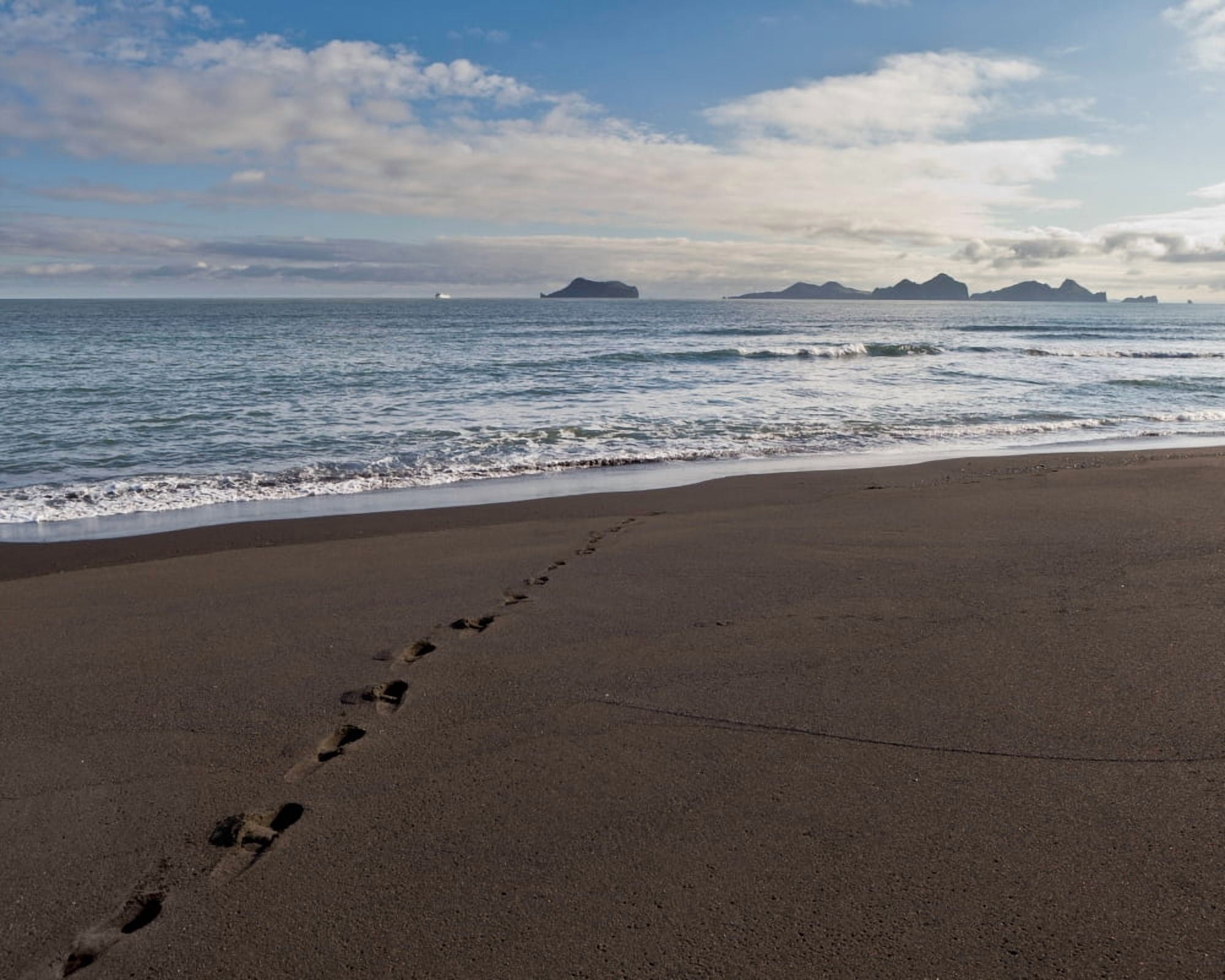 Bakkafjara Beach South Coast Iceland Canvas Art - Panoramic Images (29 x 36)
