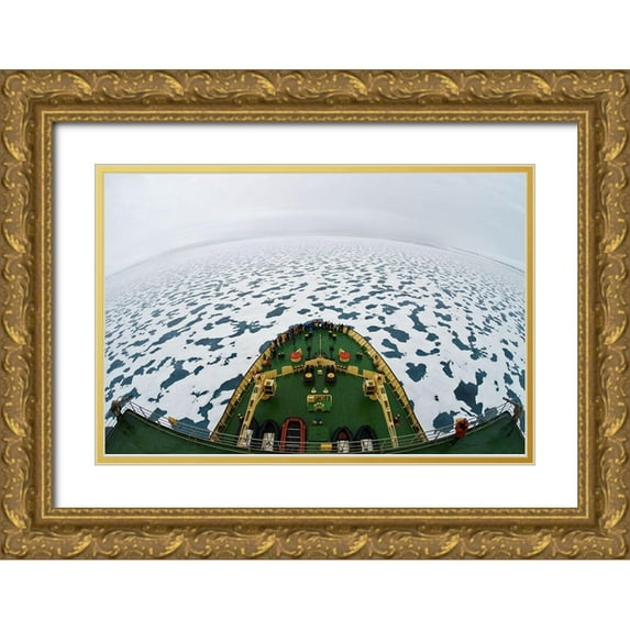 Balakin, Vadim 14x11 Gold Ornate Wood Framed with Double Matting Museum Art Print Titled - Smile! YouA#039;Re In The Arctic!