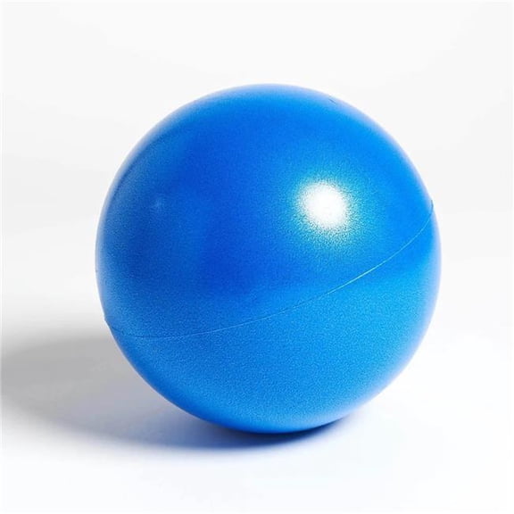 AGM Group 35019 19 cm Balance Ball