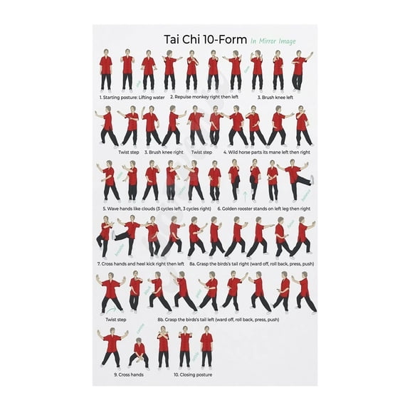 Balance and Harmony Movement Chart Poster Tai Chi Inspired Aesthetic Art for Practice Reference Home Studio Office Decor