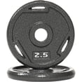 thumbnail image 1 of BalanceFrom 2" Cast Iron Weight Plate Pairs - Gray Rust-Proof Coating, 3-Grip Holes for Strength Training ，2.5-45 lbs, 1 of 6