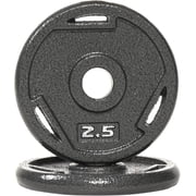 BalanceFrom 2" Cast Iron Weight Plate Pairs - Gray Rust-Proof Coating, 3-Grip Holes for Strength Training ，2.5-45 lbs