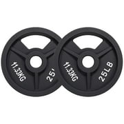 BalanceFrom Cast Iron Weight Plates, Black, 2-Inch，Multiple Weight Options, Pair or Set, for Strength Training & Home Gym