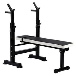 Gold s Gym XR 6.1 Multi Position Weight Bench with Leg Developer Walmart