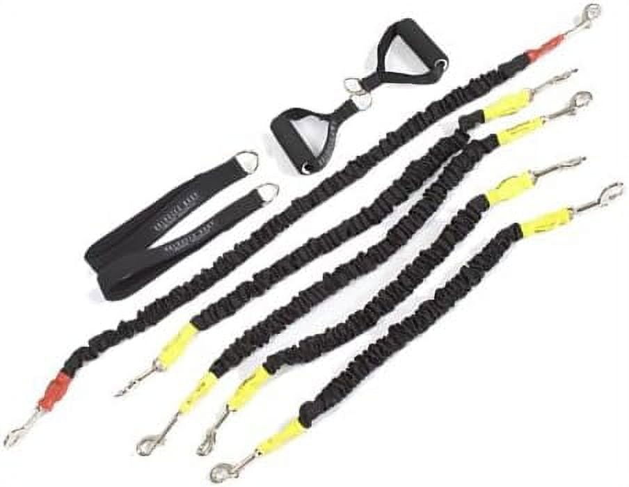 Balanced Body EXO Chair Functional Resistance Kit, Exercise Resistance