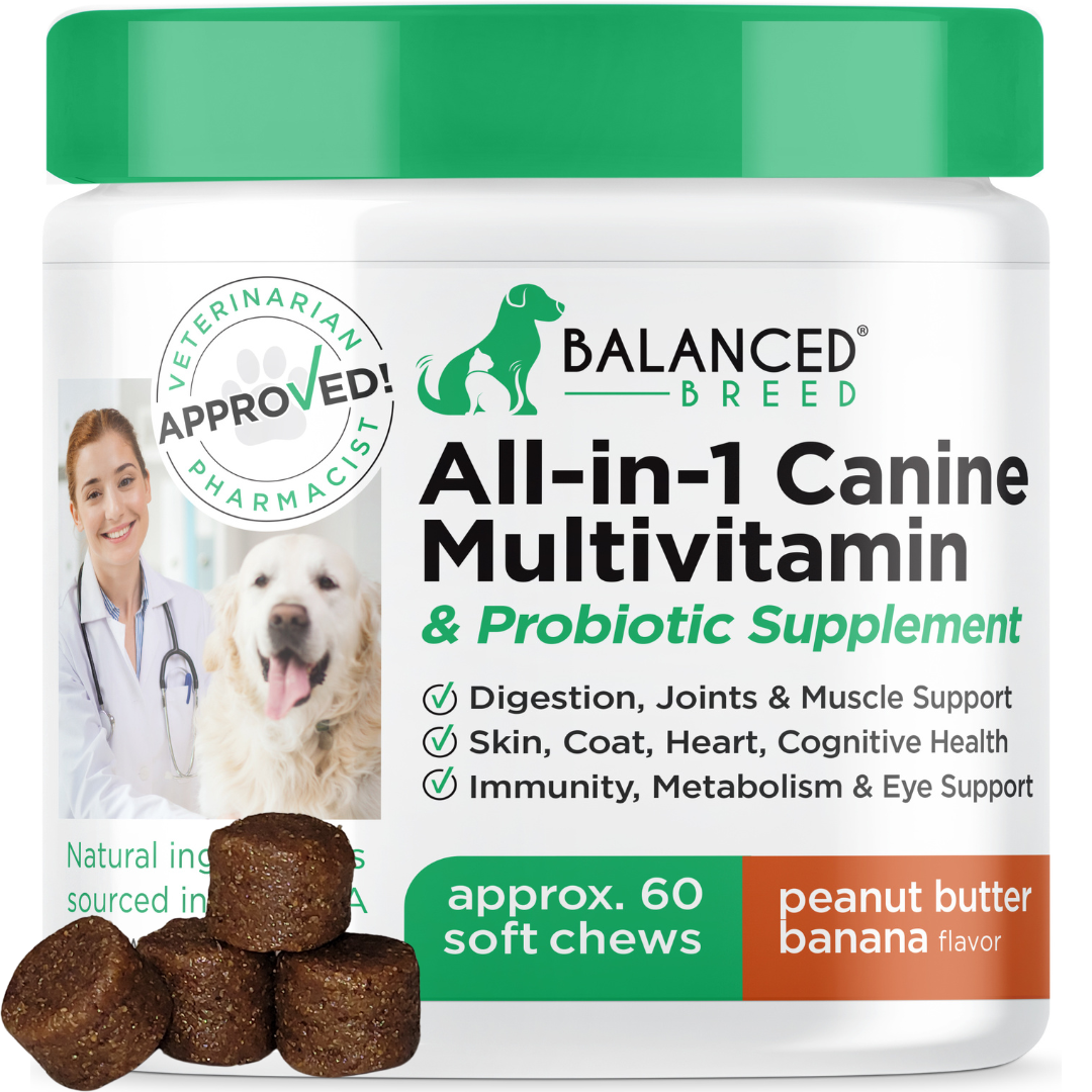 Healthy Breeds French Bulldog Probiotic and Digestive Support for Dogs