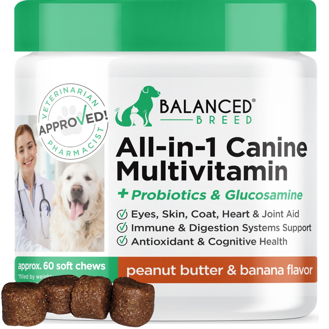 Healthy Breeds Dog Hip and Joint Care Supplement Soft Chews for Labrador Retriever, Bacon Flavor