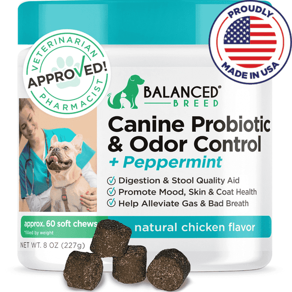 Balanced Breed Dog Probiotic & Odor Control Chews Bad Breath Digestion Enzyme Supplement Soft Chews, Chicken Flavor, 60 Count Jar
