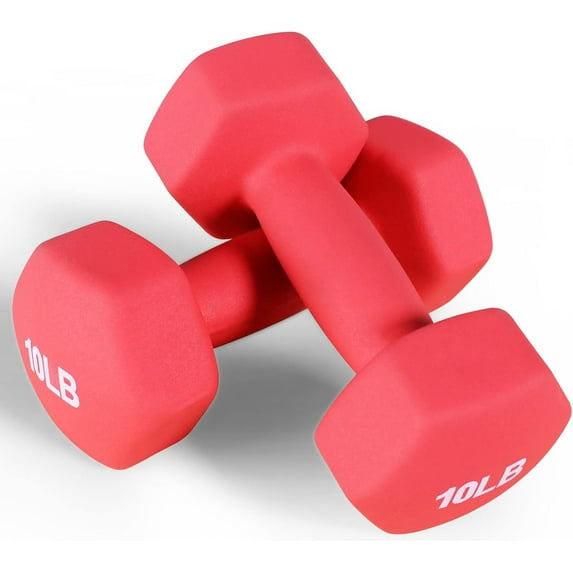 PAPABABE Hex Dumbbell Set Of 2, 2.5 Lb Dumbbells Pair, 2.5 Pound Weight Dumbbells For Women & Men, Hand Weights For Strength Training, Free Weights,pesas Para Ejercicios (2.5 Pair