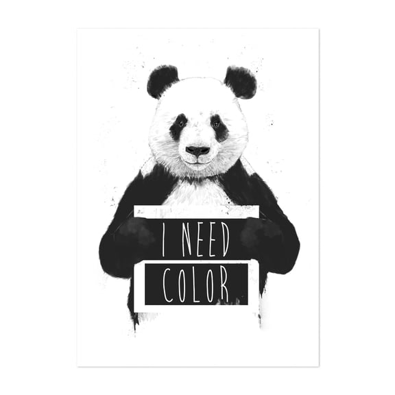 Balazs Solti - I need color - Illustration Black and White Humor Wildlife Quote Animal Unframed Wall Art Print 5 x 7 inches