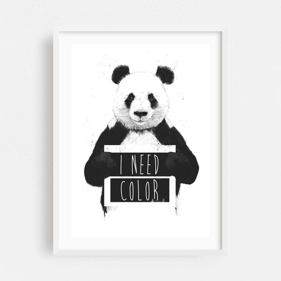 Balazs Solti - I need color - Illustration Black and White Humor Wildlife Quote Animal White Framed Wall Art Print 20 x 30 inches