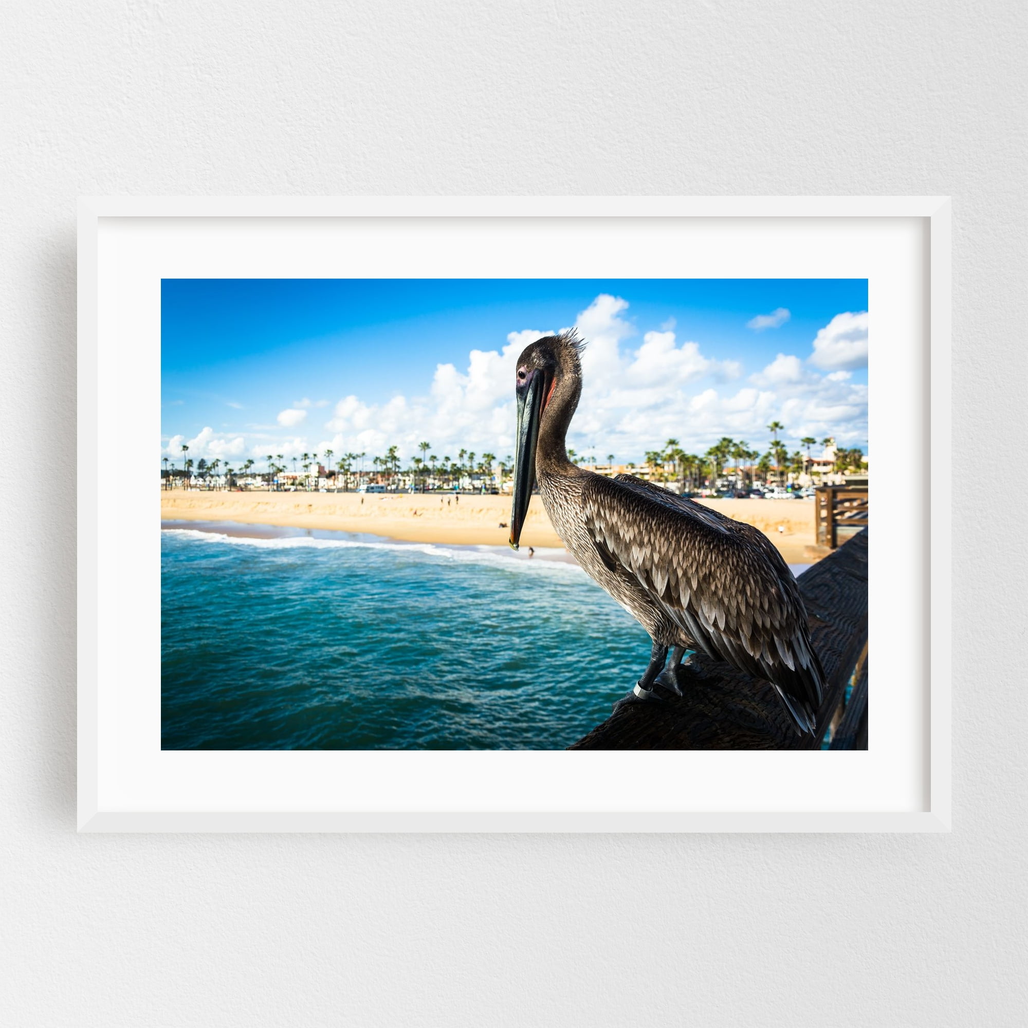 Balboa Pier Pelican Newport Beach California Photography White Framed