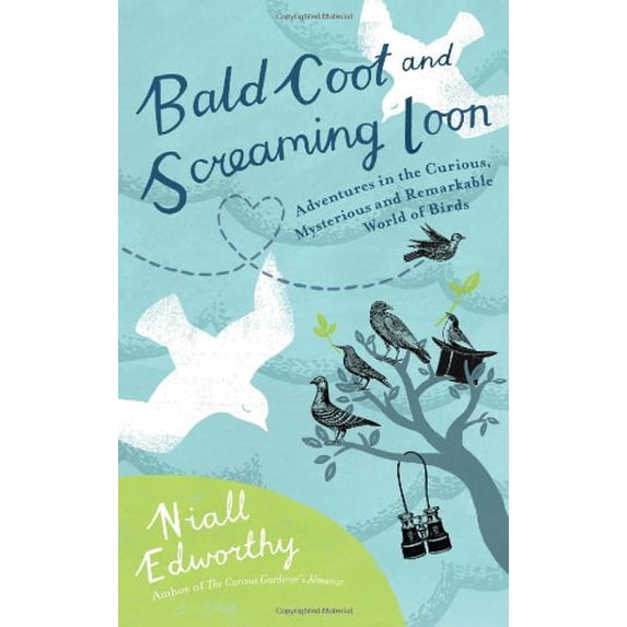 Pre-Owned Bald Coot and Screaming Loon: Adventures in the Curious, Mysterious and Remarkable World of Birds (Hardcover) 0399535683 9780399535680