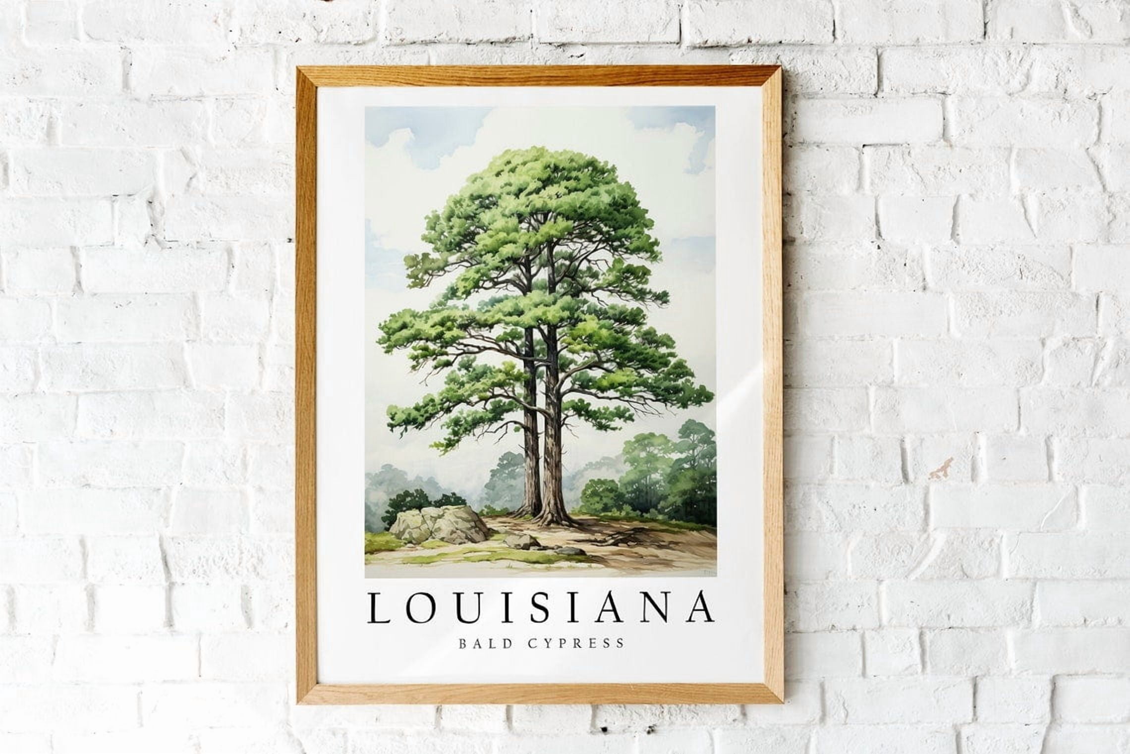 Bald Cypress State Tree Louisiana Art Print Poster for Home Decor ...