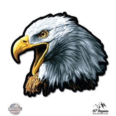 Bald Eagle Vinyl Sticker - Waterproof Decal, 12 Inches, Full Color, Outdoor Durable