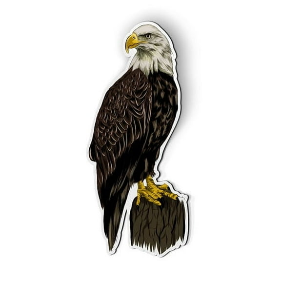 Bald Eagle - 5" Magnet for Car Locker Refrigerator