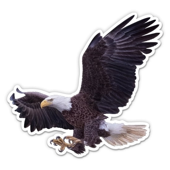 Bald Eagle - 5" Vinyl Sticker - For Car Laptop I-Pad - Waterproof Decal