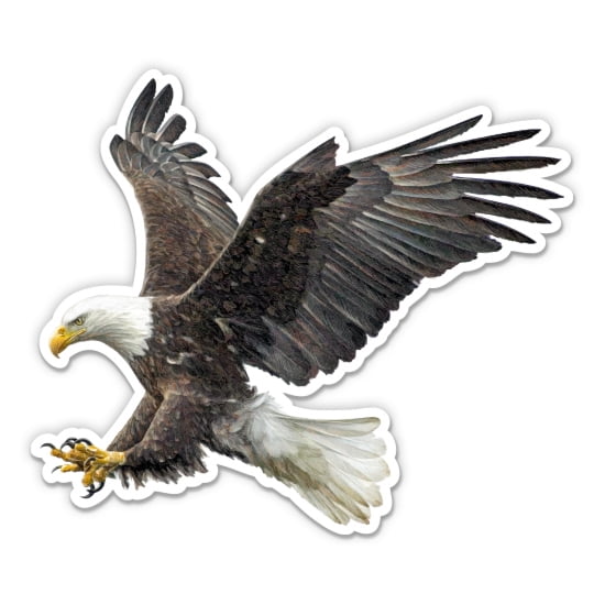 Bald Eagle - 5" Vinyl Sticker - For Car Laptop I-Pad - Waterproof Decal