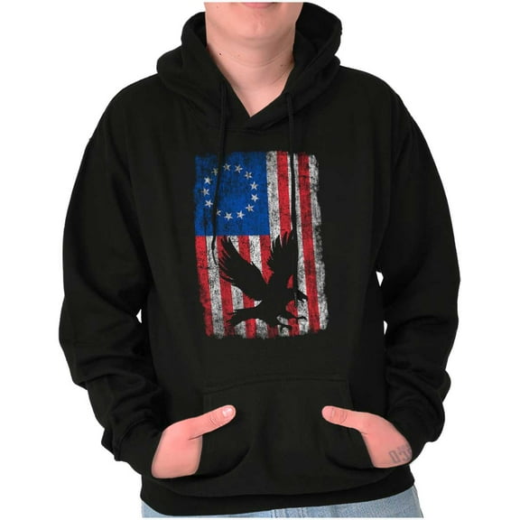 Bald Eagle American Colonies USA Flag Unisex Plus Fleece Graphic Hoodie Brisco Brands 2X