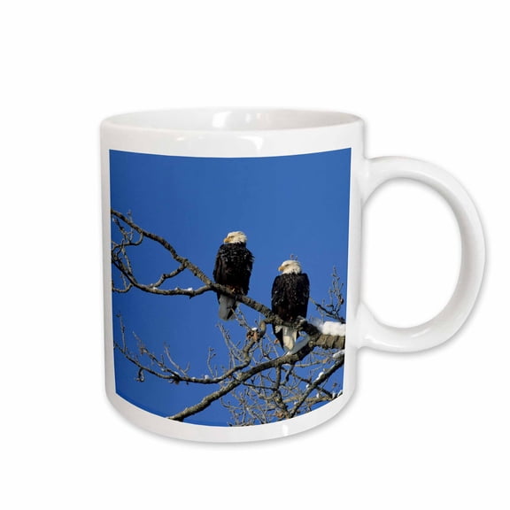 3drose, Bald Eagle, Chilkat River, Haines, Alaska, Usa - Us02 Gre0061 - Gerry Reynolds, 11oz Mug