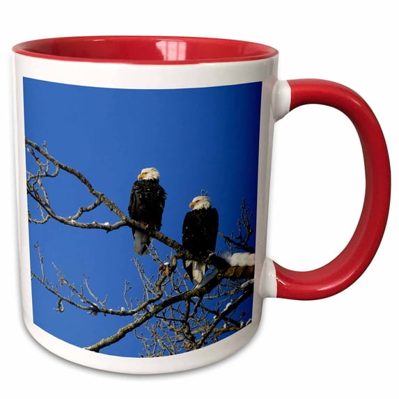 3drose, Bald Eagle, Chilkat River, Haines, Alaska, Usa - Us02 Gre0061 - Gerry Reynolds, 15oz Two-tone Red Mug