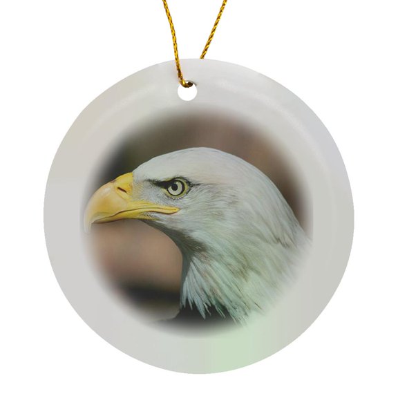 3drose, Bald Eagle Close Up, Circle Porcelain Ornament