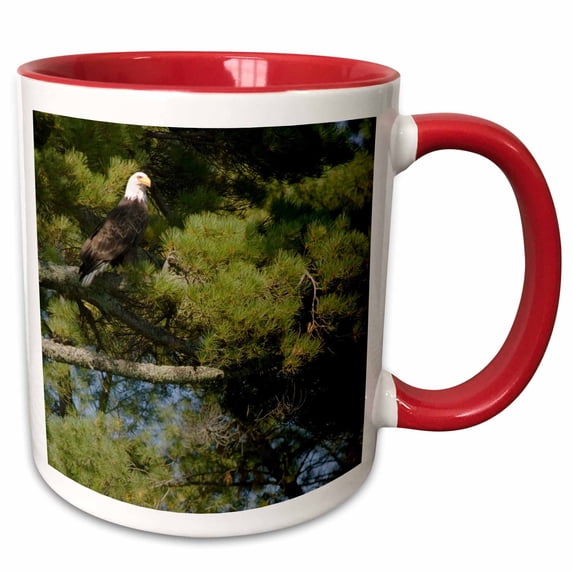 3drose, Bald Eagle, Coculus Island, Lake Kabetogama, Mn - Us24 Rkl0054 - Raymond Klass, 11oz Two-tone Red Mug