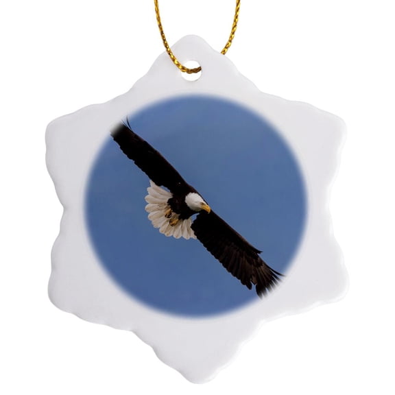 3drose, Bald Eagle Flying, 3 inch Snowflake Porcelain Ornament
