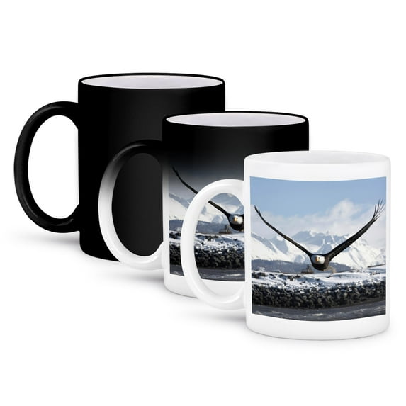 3dRose, Bald Eagle, Homer, Alaska - NA02 DNO0620 - David Northcott, 11oz Magic Transforming Mug