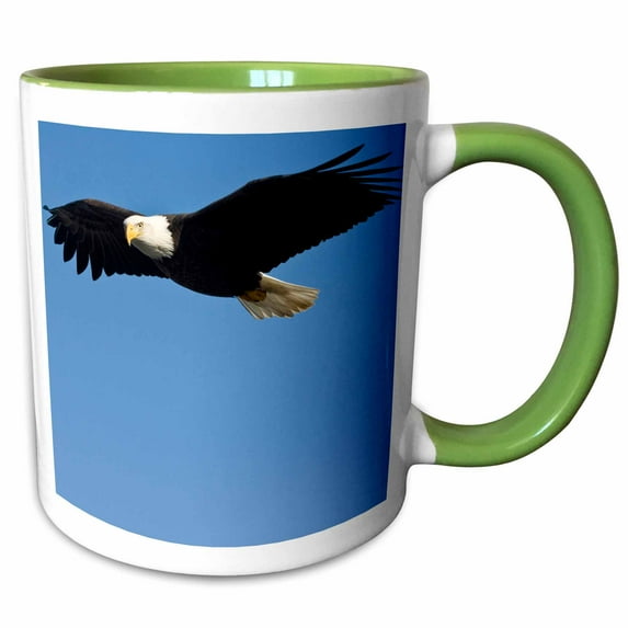 3drose, Bald Eagle, Homer, Alaska - Na02 Dno0622 - David Northcott, 15oz Two-tone Green Mug