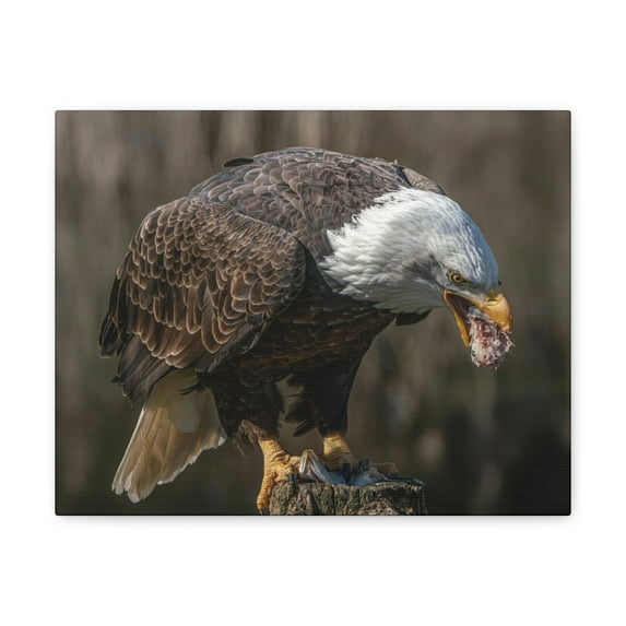 Bald Eagle Hunting Bald Eagle on Hunt Print Animal Wall Art Wildlife Canvas Prints Wall Art Ready to Hang Unframed