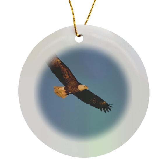 3drose, Bald Eagle in Flight over Mississippi River, Circle Porcelain Ornament