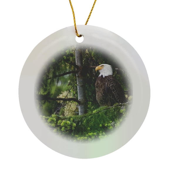 3drose, Bald Eagle in Tree., Circle Porcelain Ornament