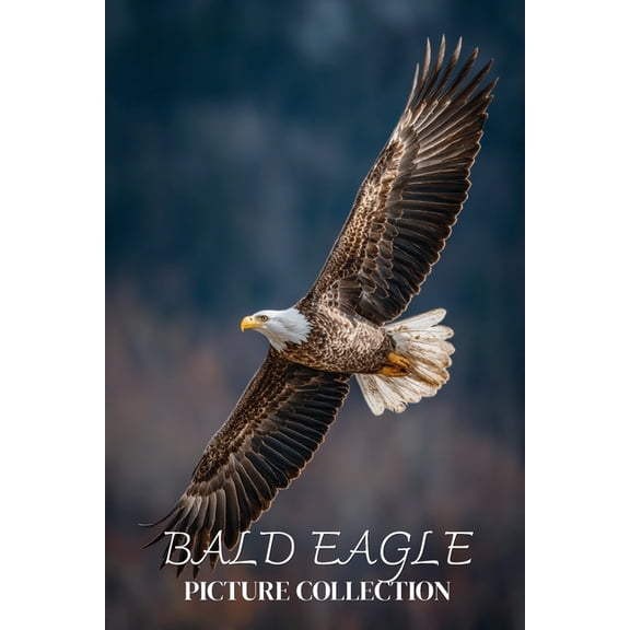 Bald Eagle Photo Collection: Beautiful Full-Page Pictures of Bald Eagles and Eaglets for All Ages (Simple Photo Books)., (Paperback)