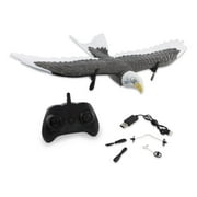طائرة التحكم عن بعد Bald Eagle R / C 2.4GHz