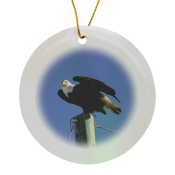 3drose, Bald Eagle Ready to Take Off from His Perch in Carcross, Yukon Territory, Circle Porcelain Ornament