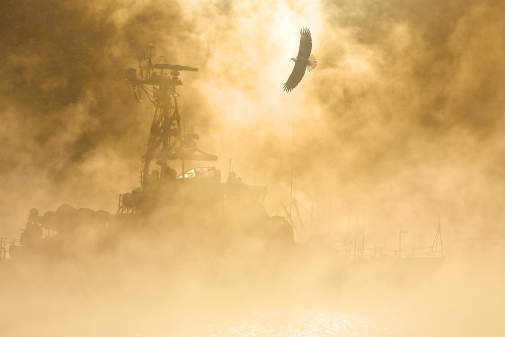 Bald Eagle Soars Over Auke Bay Harbor With Ice Fog Obscuring Docked Vessel At Juneau Alaska Composite Canvas Art - John Hyde Design Pics (34 x 22)