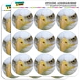 thumbnail image 1 of Bald Eagle Staring Raptor Bird of Prey 18 2" Planner Calendar Scrapbooking Crafting Stickers, 1 of 2