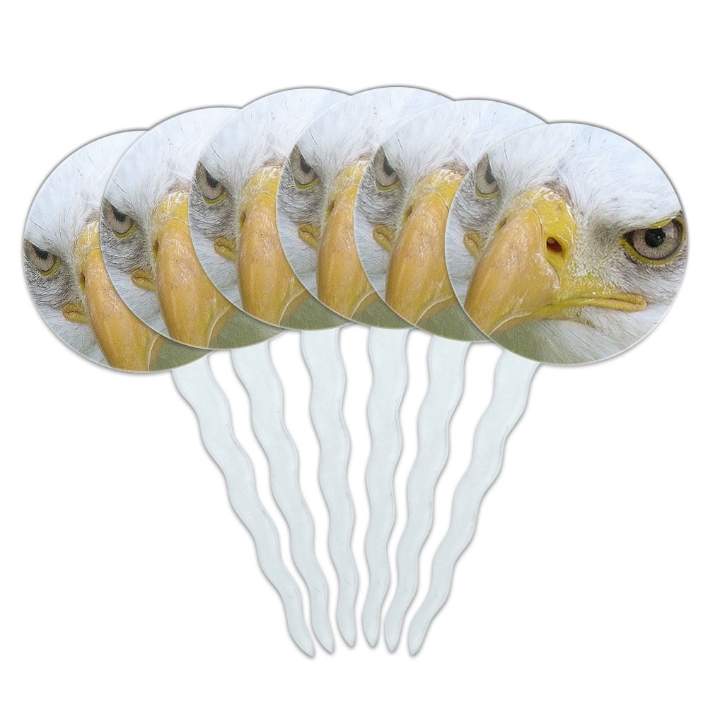 Bald Eagle Staring Raptor Bird of Prey Cupcake Picks Toppers - Set of 6 ...