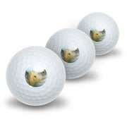 Bald Eagle Staring Raptor Bird of Prey Novelty Golf Balls, 3pk
