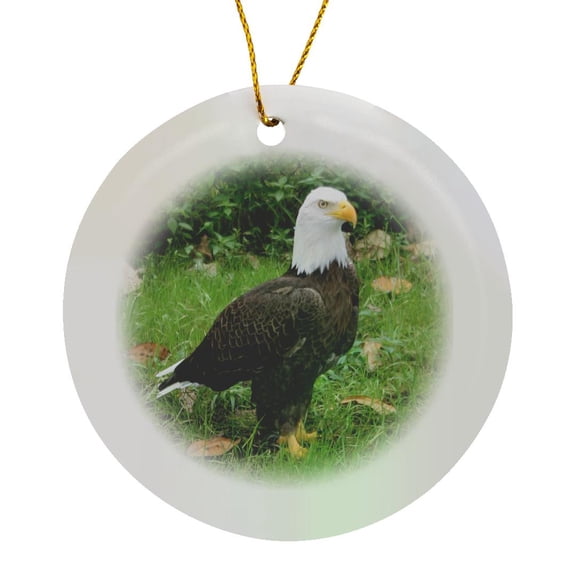 3drose, Bald Eagle Upright, Circle Porcelain Ornament